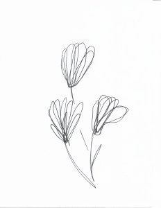 ink-blooms-8