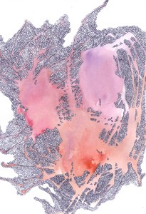 ink-red-watercolor-splat