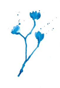 wc-blue-flowers-1