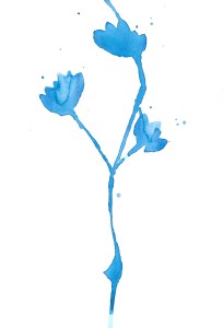 wc-blue-flowers-2